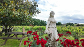 St.Emilion - Blaye Fragman