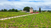 FRANSA - St.Emilion-Blaye