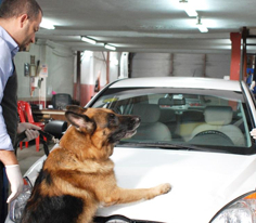 Arka Sokaklar 174. Bölüm