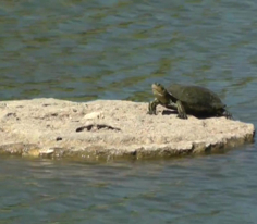  BEACH PARTY 28. BÖLÜM - FETHİYE