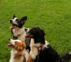 Pati 5. Bölüm Fragmanı 