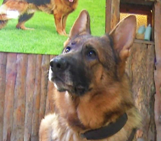 Pati 7. Bölüm Fragmanı