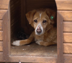Sen de Yap 9. Bölüm Foto Galeri