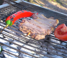 Doğada Mangal Zamanı