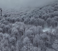 Rehber 357. Bölüm | KOCAELİ & SAPANCA & KAYSERİ