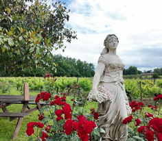 St.Emilion - Blaye Fragman