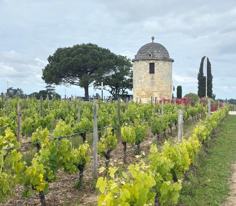 FRANSA - St.Emilion-Blaye Foto Galeri