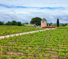 FRANSA - St.Emilion-Blaye