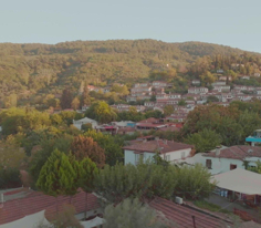 Rehber 392. Bölüm | ŞİRİNCE