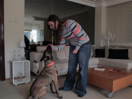 CAN DOSTUM - 1. BÖLÜM