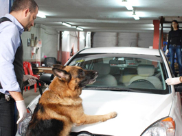 Arka Sokaklar 174. Bölüm