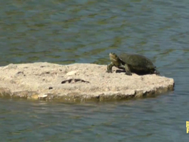  BEACH PARTY 28. BÖLÜM - FETHİYE