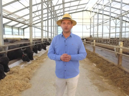 CAN'LI TATLAR - AFYON