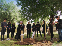 Bodrum Masalı 38. Bölüm