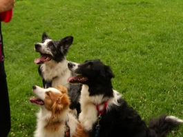 Pati 5. Bölüm Fragmanı 