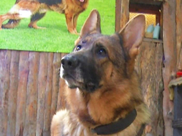 Pati 7. Bölüm Fragmanı