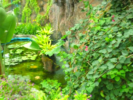 Rehber 96. Bölüm Fragmanı