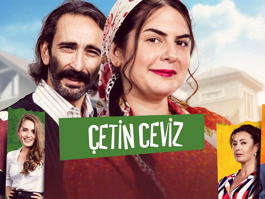 Çetin Ceviz 1