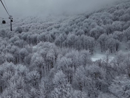 Rehber 357. Bölüm | KOCAELİ & SAPANCA & KAYSERİ