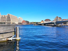 Nyhavn 'Yeni Liman'