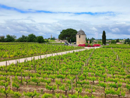 FRANSA - St.Emilion-Blaye