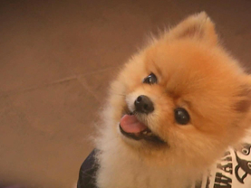 Pati 9. Bölüm Fragmanı