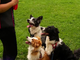 Pati 13. Bölüm Fragmanı