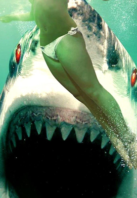 HAYALET KÖPEKBALIĞI