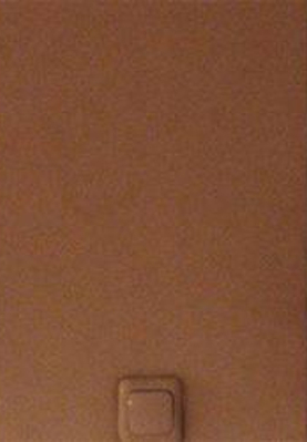 SADECE TEK BİR GÜN