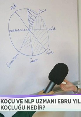 Yaşam Koçluğu Nedir?