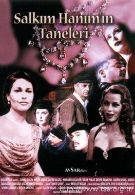 SALKIM HANIMIN TANELERİ