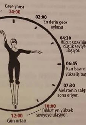 Sirkadiyen beslenme nedir?