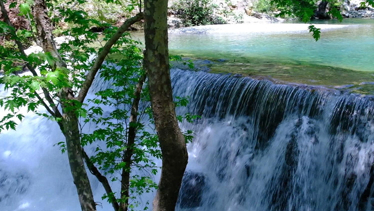 Rehber 372. Bölüm | ALANYA
