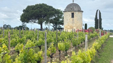 FRANSA - St.Emilion-Blaye Foto Galeri