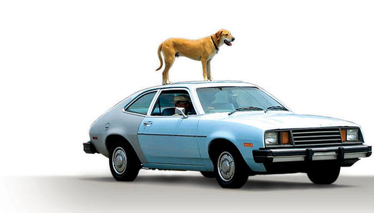 KASABANIN YILDIZI - Fragman