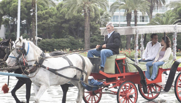 Kavak Yelleri 91. Bölüm