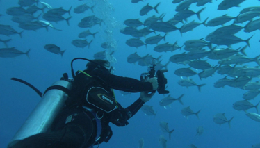 FARKLI VE HEYECANLI - 07 KASIM CUMARTESİ TANITIM