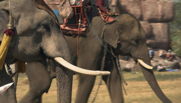 FARKLI VE HEYECANLI - 14 KASIM CUMARTESİ TANITIM