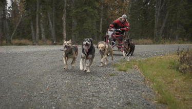  FARKLI VE HEYECANLI - 12 ARALIK CUMARTESİ TANITIM 