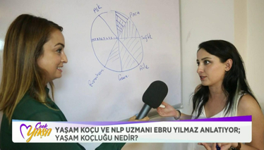 Çook Yaşa Yaşam Koçluğu Nedir?
