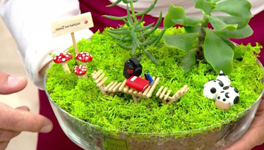 Kendimize Minyatür Bahçe Yapalım!