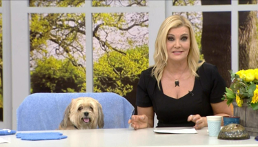 63. Bölüm - 04.01.2017