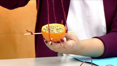 Portakal Kabuğundan Kuş Yemliği