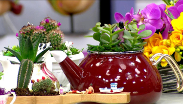 O Bahar Gelecek Uygulaması