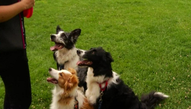 Pati 5. Bölüm Fragmanı 