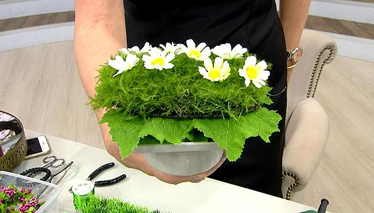 Gider Kapatıcı Yapımı