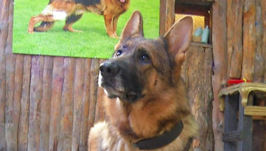 Pati 7. Bölüm Fragmanı