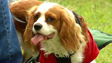 Pati 10. Bölüm Fragmanı