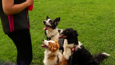 Pati 13. Bölüm Fragmanı