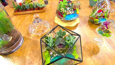 Terrarium Yapımı